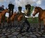 lord of the rings online